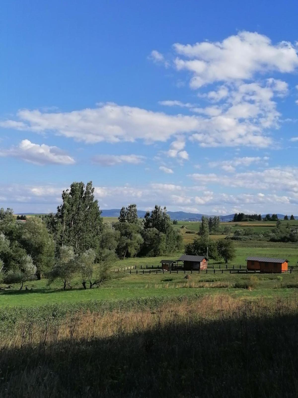 Brvnare Vapa Apartment Sjenica